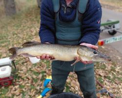 foto 23.11.25 7 24 09    