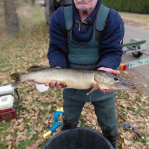 foto 23.11.25 7 24 09    