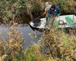 foto 23.11.24 4 32 23  