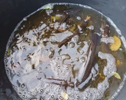 foto 23.11.24  16 47