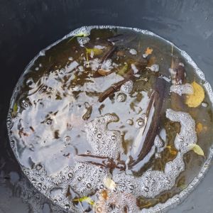 foto 23.11.24  16 47