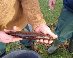 foto 23.11.24  16 47