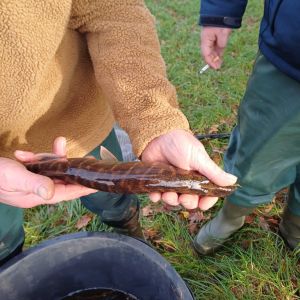 foto 23.11.24  16 47