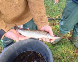 foto3.11.24  16 47 42  