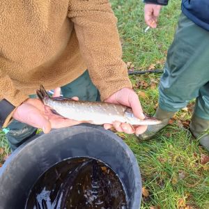 foto3.11.24  16 47 42  