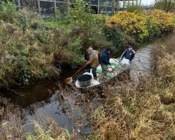 foto3.11.24  17 15 01  