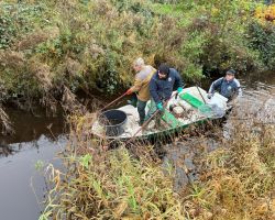 foto 23.11.24  17 15