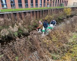 foto3.11.24  17 15 02  