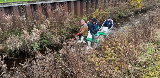 foto3.11.24  17 15 02  