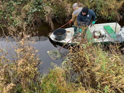 E-Fischen Westerstede 23.11.2024
