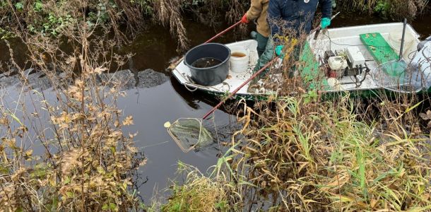 foto 23.11.24  17 15 02  