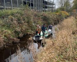 foto 23.11.24  17 15