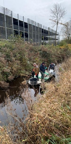 foto 23.11.24  17 15