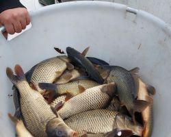 foto3.11.25 9 569  2   