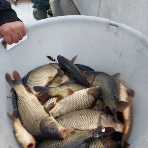 foto3.11.25 9 569  2   