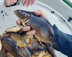 foto 13.11.25  19 56 19  