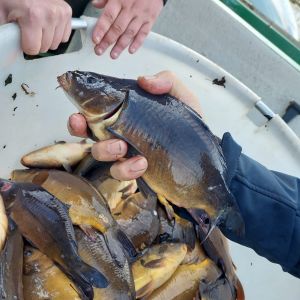 foto 13.11.25  19 56 19  