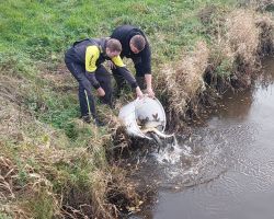 foto 13.11.25  19 56