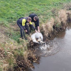 foto 13.11.25  19 56