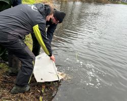 foto 30.11.24  12 36