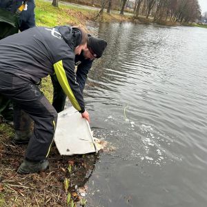 foto 30.11.24  12 36