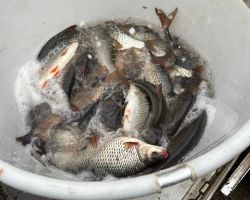 foto 30.11.24  12 364  