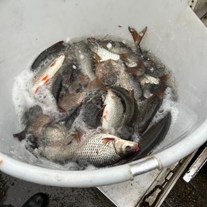 foto 30.11.24  12 364  