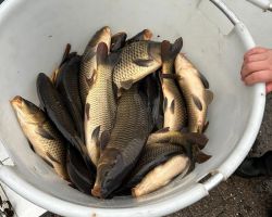 foto 30.11.24  12 36