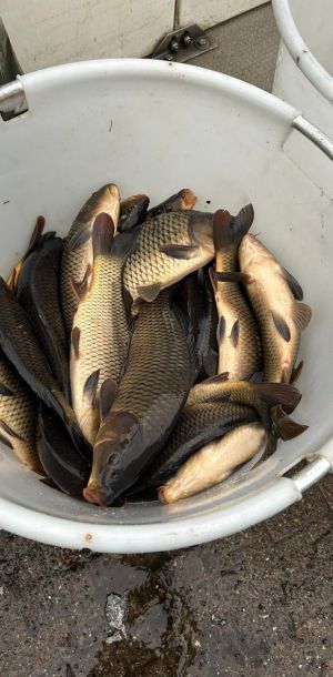 foto 30.11.24  12 36