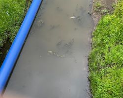 foto 01.06.25  13 45