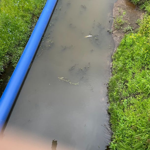 foto 01.06.25  13 45