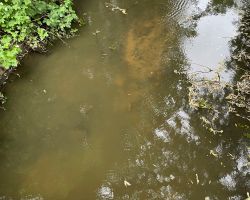 foto 01.06.25  13 59