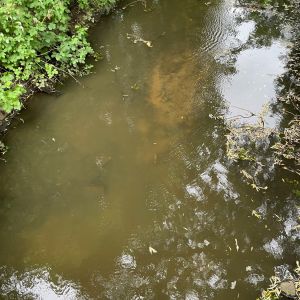 foto 01.06.25  13 59