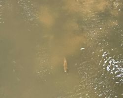 foto 01.06.25  13 59