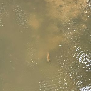 foto 01.06.25  13 59