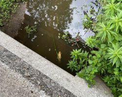 foto 01.06.25  15 57