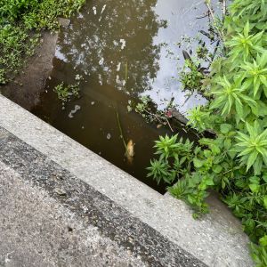 foto 01.06.25  15 57