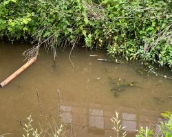 foto 01.06.25  16 44