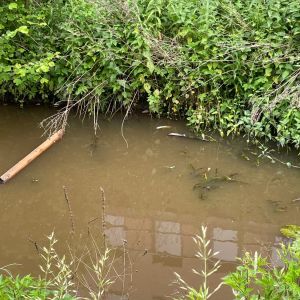 foto 01.06.25  16 44