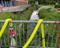 foto 01.06.25  17 23