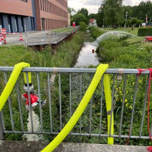 foto 01.06.25  17 23