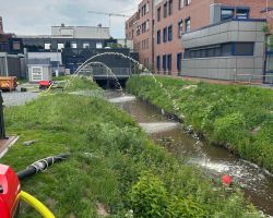 foto 01.06.25  19 52