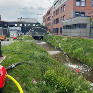 foto 01.06.25  19 52