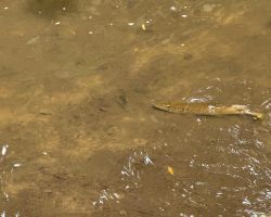 foto 01.06.25  21 02 04  