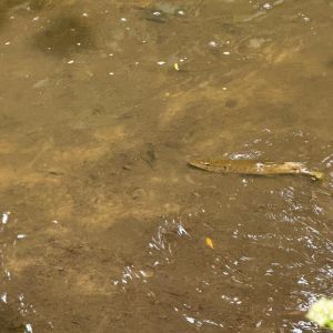 foto 01.06.25  21 02 04  