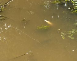 foto 01.06.25 1 02 04  