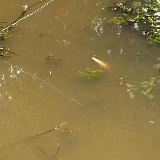 foto 01.06.25 1 02 04  