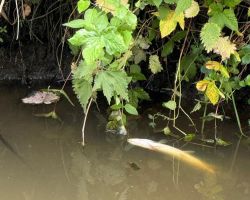 foto 01.06.25  21 02 04  