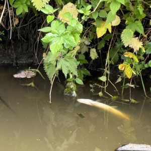 foto 01.06.25  21 02 04  