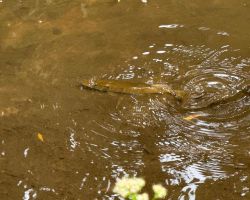 foto 01.06.25  21 02